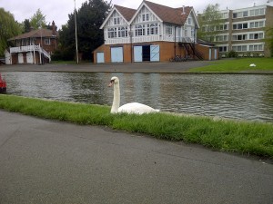Swan and Boathouse